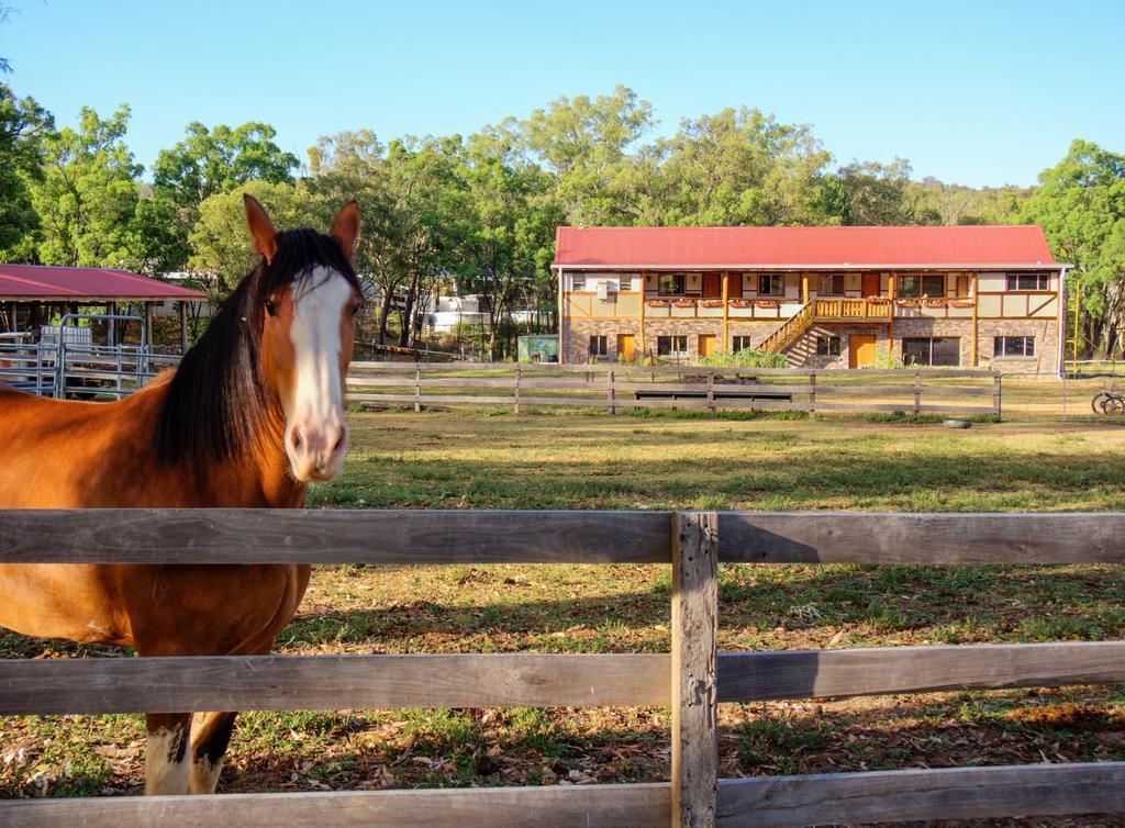 Pilliga Pottery Creative Farmstay كونابارابران الغرفة الصورة
